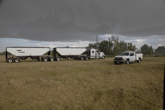 Canola Trucking 2